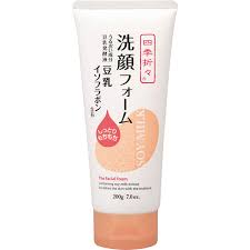 Kumano Yushi Four Seasons Soymilk Isoflavone Cleansing Foam, 200g