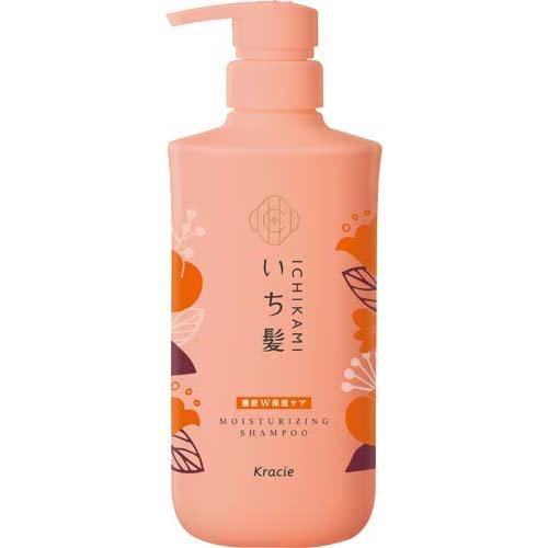 Ichikami Dense W Moisturizing Care Shampoo Pump, 480ml